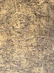 brown wood texture. natural background