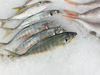 fresh fish on ice