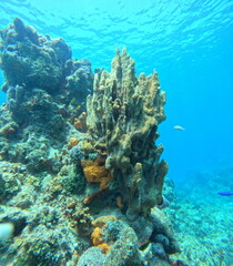 DCIM\100GOPRO\GOPR8589.JPG