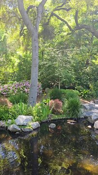 a gorgeous spring landscape with a pond, lush green trees and flowers at Descanso Gardens La Ca&ntilde;ada Flintridge California USA