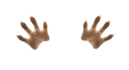 Obraz premium Brown handprints on white background