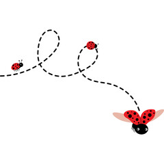Flying Lady Bug Illustration