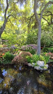 a gorgeous spring landscape with a pond, lush green trees and flowers at Descanso Gardens La Ca&ntilde;ada Flintridge California USA