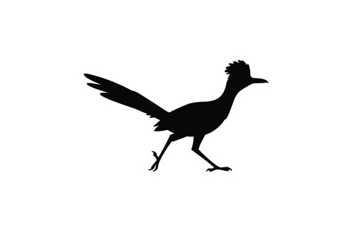Road runner silhouette. This image portrays a bold black silhouette of a running road runner bird with sleek contours and dynamic motion. Vector black clipart illustration design.