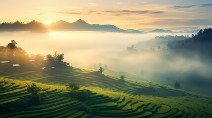 Obraz premium Sunrise Over Misty Rice Terraces in Southeast Asia