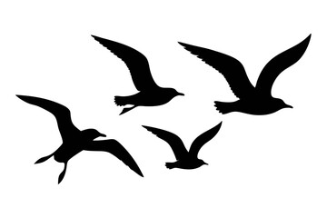 set of seagull flying silhouette vector illustration