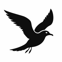 seagull flying silhouette vector illustration