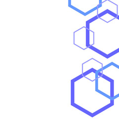 Hexagon Outline Border