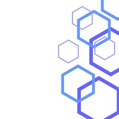 Hexagon Outline Border