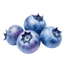 Obraz premium Close-up watercolor study of glistening blueberries in botanical art