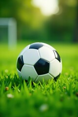 Obraz premium Soft focus on green grass with soccer ball in center, outdoor, field