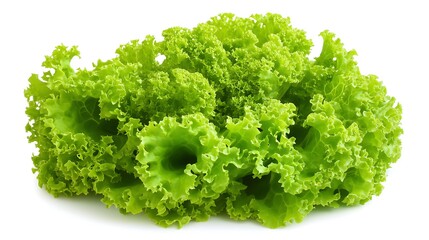 fresh green romaine lettuce isolated on white background perfect for organic food promotions and nutrition-based ads