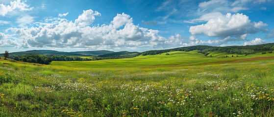 Fototapeta premium A panoramic view of a field filled with wildflowers. 