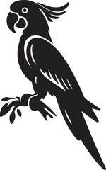 Parrot black silhouette vector, vector illustration of a black parrot