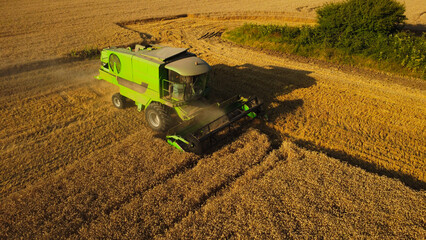 Aerial View of a Combine Harvester Working in a Wheat Field