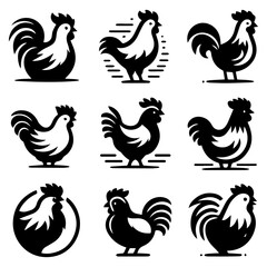 vector set of precious black chicken graphics for creative wildlife