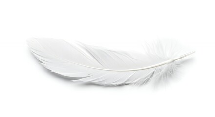 Obraz premium Single white feather close up photography