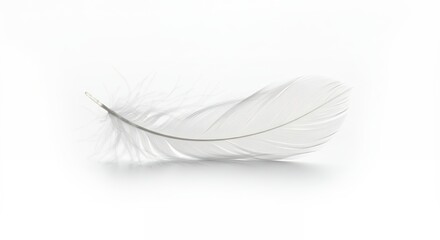 Obraz premium Soft white feather closeup image