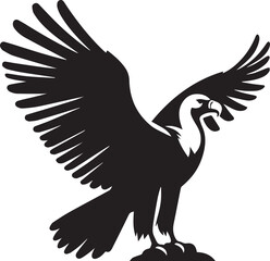 Andean Condor illustration, Andean Condor silhouette vector isolated on white background
