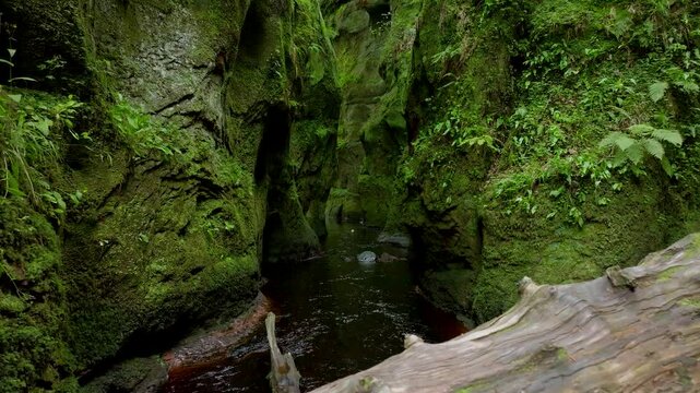 A large log is sitting in a stream of water
