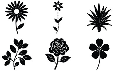 Set of Colorful Black and White flower Vector Illustrations with Decorative Elements