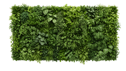 Lush green vertical garden wall filled with diverse tropical foliage and leafy plant species