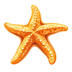 Golden Starfish Summer Ocean Delightful