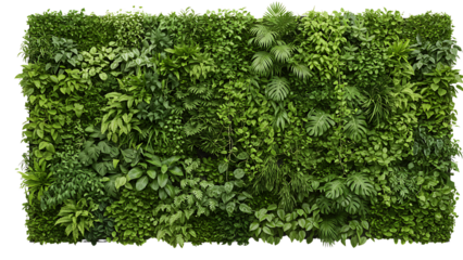 Lush green vertical garden wall filled with diverse tropical foliage and leafy plant species