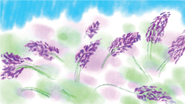 Watercolor Abstract Lavender Flower Field with Blue Sky