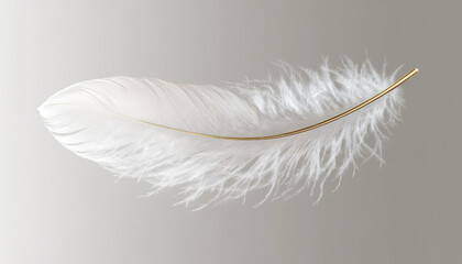 white feather on black background