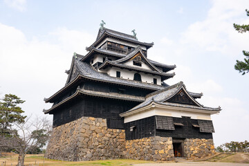 Fototapeta premium 島根県 国宝 松江城