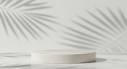 Serene Minimalism: A Study in Light and Shadow AI Generated