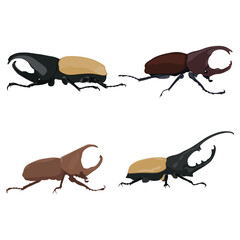 Vector illustration of hercules beetle in cartoon flat style minimalist. Black or brown beetle with detailed horns, animal insects. Perfect for entomology education and natural science materials.