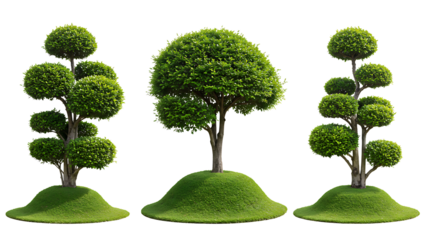 Decorative landscape mound with ornamental trees showcasing manicured greenery and natural outdoor beauty