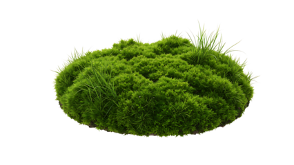 Lush green moss and grass patch forming a natural landscape mound with soft texture and organic growth