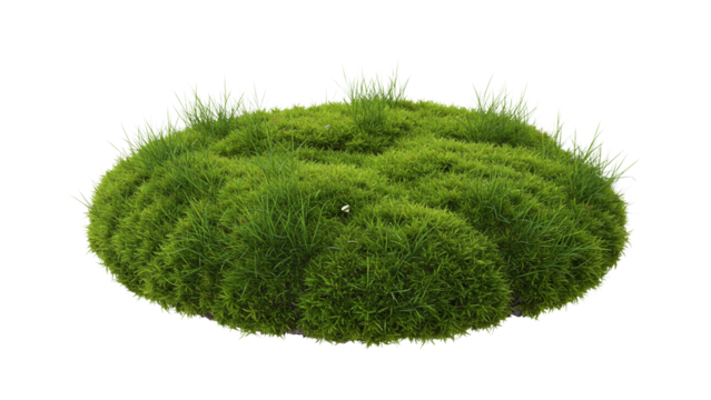 Lush green moss and grass patch forming a natural landscape mound with soft texture and organic growth