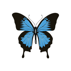 Vector illustration of blue butterfly vector in cartoon flat design. Blue morpho adorable  butterfly with colorful wings, ideal for kids illustrations, educational content, and children&rsquo;s products