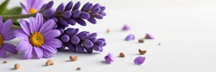 Close-up of dried lavender and daisies on a white surface, daisies, summer