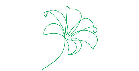 Flower line art