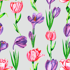Fototapeta premium Spring flowers crocuses and tulips. Elegant floral seamless pattern for your design. Watercolor illustration of spring flowers on a gray background.