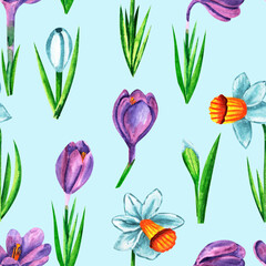 Seamless pattern with beautiful crocuses and daffodils on blue background, watercolor floral pattern suitable for wallpaper, cards or fabric.