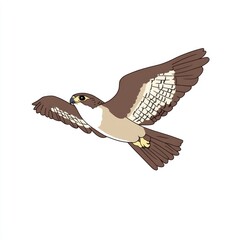 Obraz premium Raptor in flight, detailed illustration