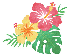 手描き水彩風　ハイビスカスの花　イラスト