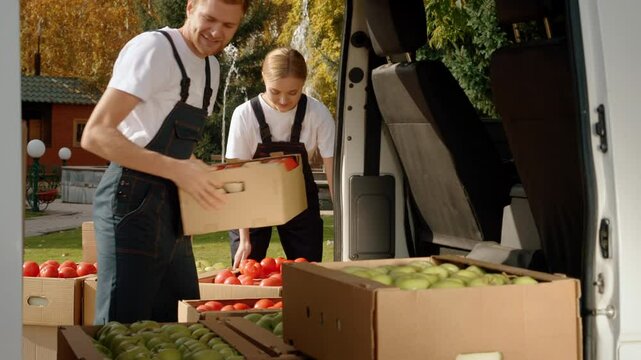 Delivering of organic fresh homegrown produce from garden. Workers unloading boxes of healthy eco products from farmer to grocery for sale.