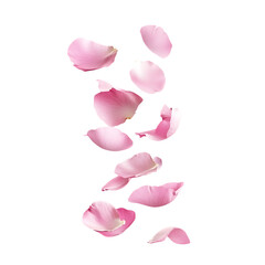 Dance of floating pink petals png