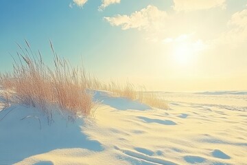 Snowy dunes with tall grass under the sunny blue sky, peaceful winter scene. Use it for seasonal greetings, nature blogs, or quiet and calm themes.