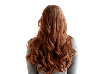 A woman with long brown hair back view PNG