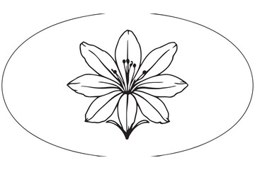 African Lily line art 