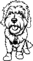 Maltipoo Dog Breed - Pet Vector Cut file, Dog Silhouette Stencil - Cricut file