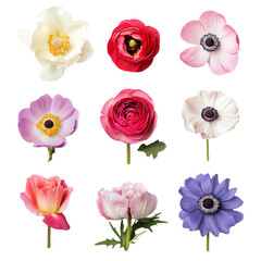 Naklejka premium Vibrant floral collage showcasing diverse blooms in a striking abstract design